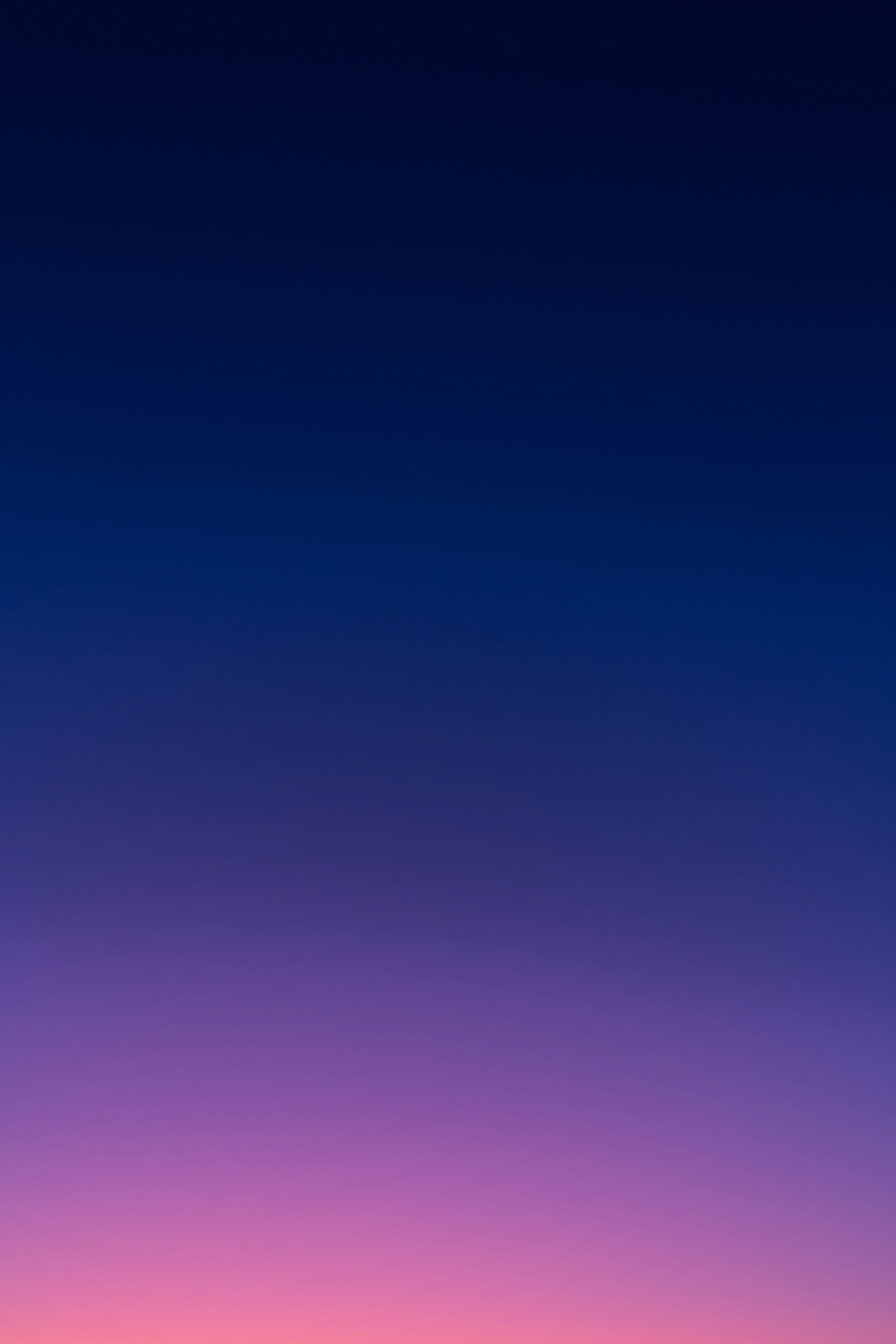 AI Training & Workshops